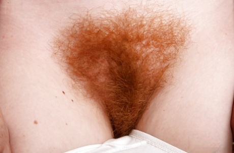 chatte rousse mature adulte de haute qualité des photos