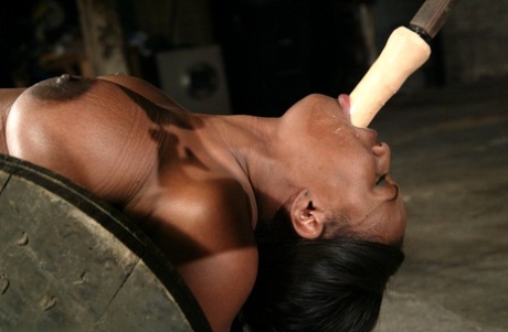 brune bdsm sexy galeries
