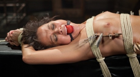 BDSM latino meilleur parfait photo