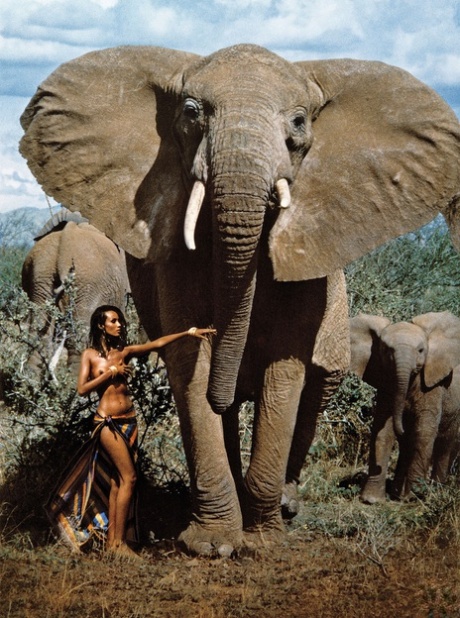 afro gratuit sympa images