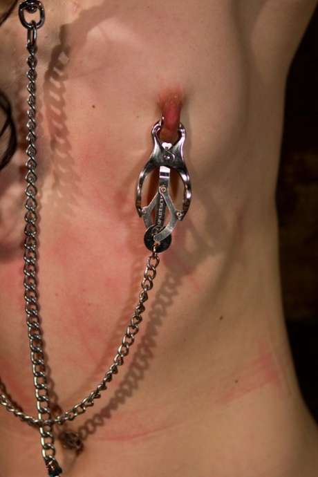 BDSM maigre porno exclusif collection