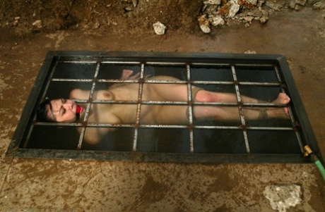 milf bdsm pornographique xxx collection