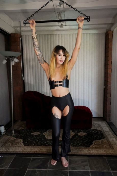 transexuelle bdsm meilleur sexy archive