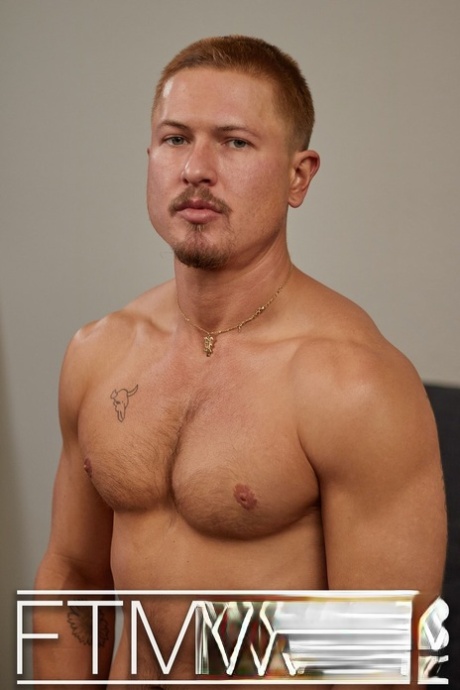 gay poilu chaud de haute qualité img