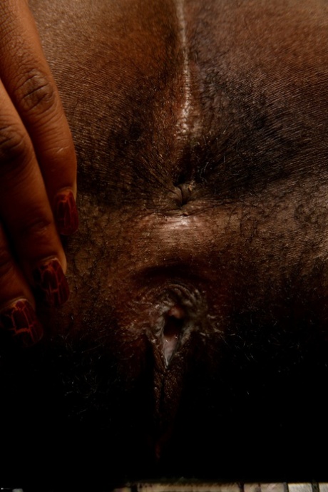 grosse chatte noire porno nu img