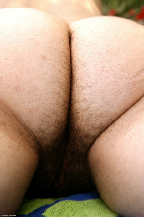 brune poilue chaud joli img