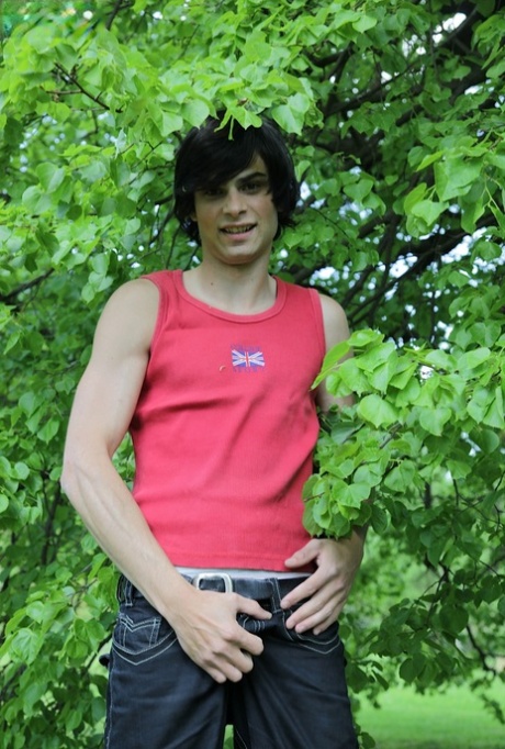 gay en plein air sexe artistique image