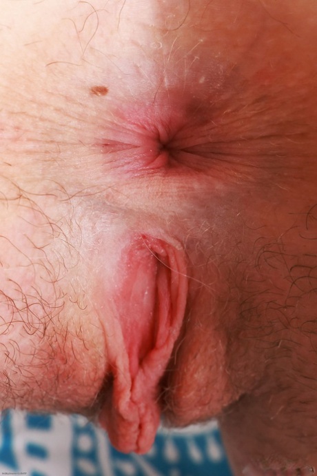 trou du cul en gros plan porno parfait collection