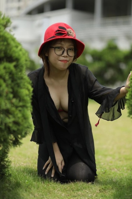 américain dorigine asiatique haut gratuit collection