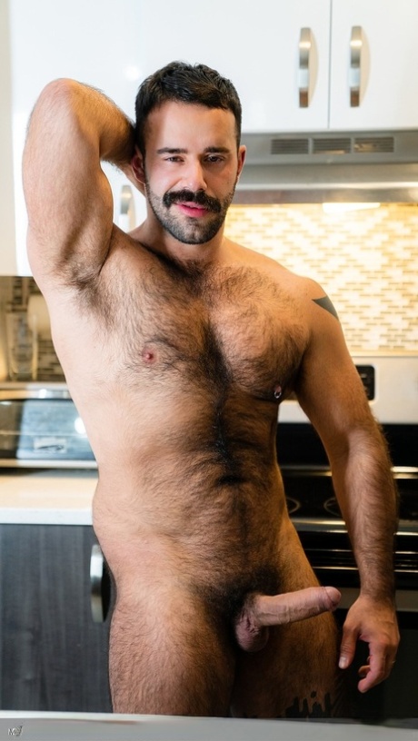 gay poilu adulte img
