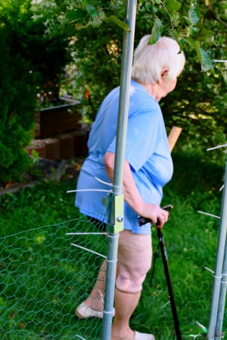 grand-mère de plus de 70 ans chaud de haute qualité photos