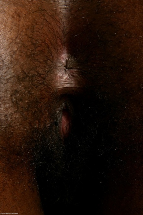ébène poilue bbw beau nu img