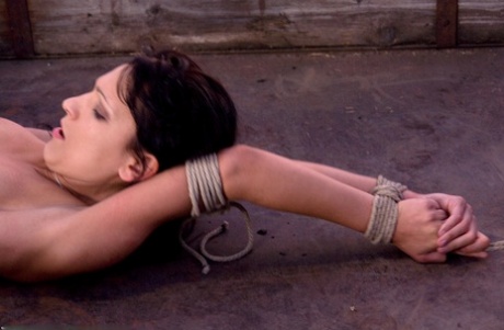 BDSM maigre adulte chaud photos